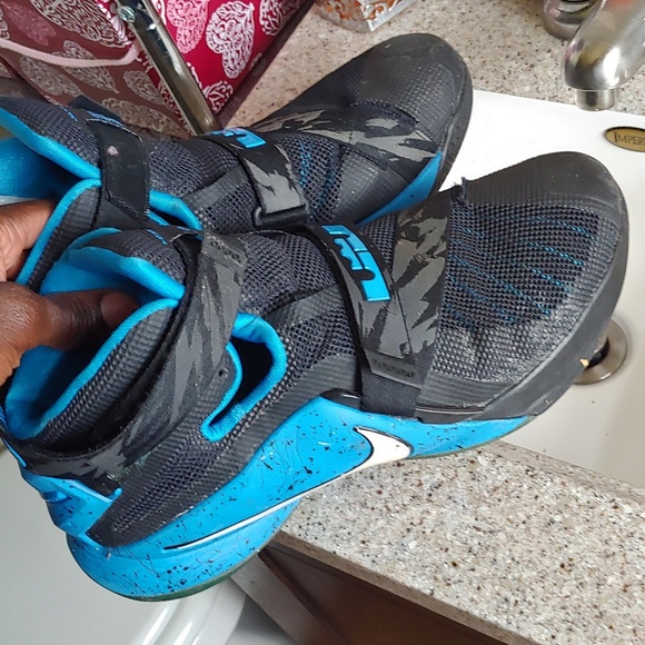 Lebron - Picture 7 of 8